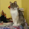 Отзыв от Анна Токарева